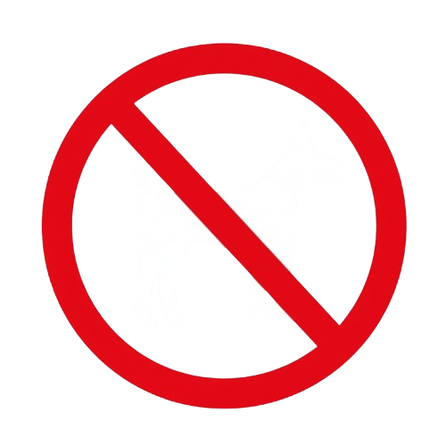 No dogs allowed